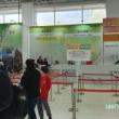 2019 SFChina 관람