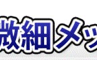 미소미세도금