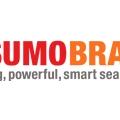 Sumo Brain / 특허 검색