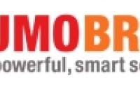 Sumo Brain / 특허 검색